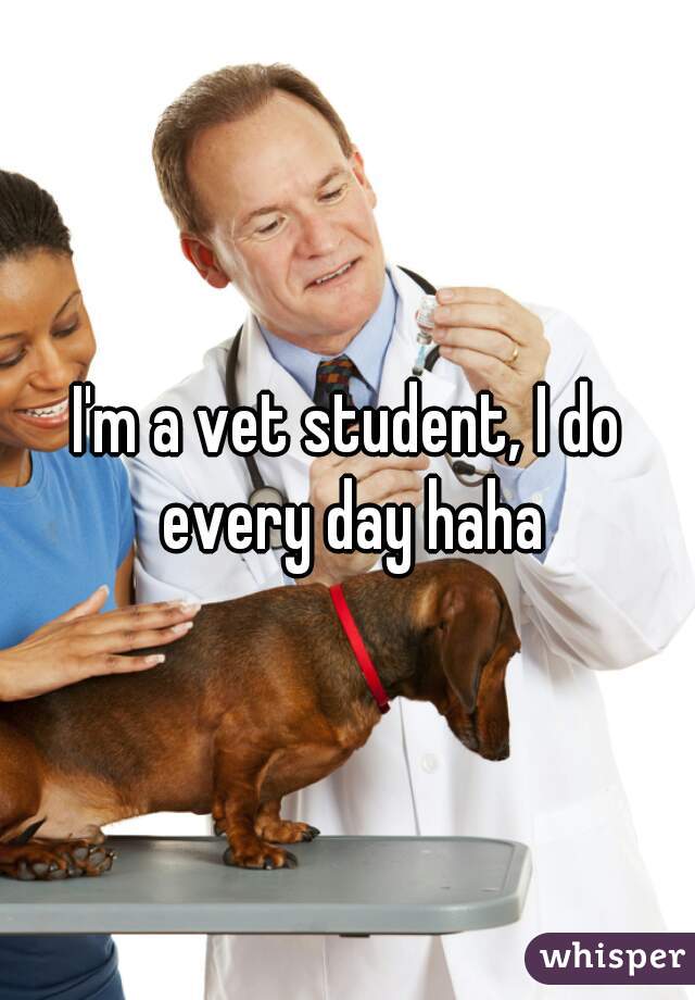 I'm a vet student, I do every day haha
