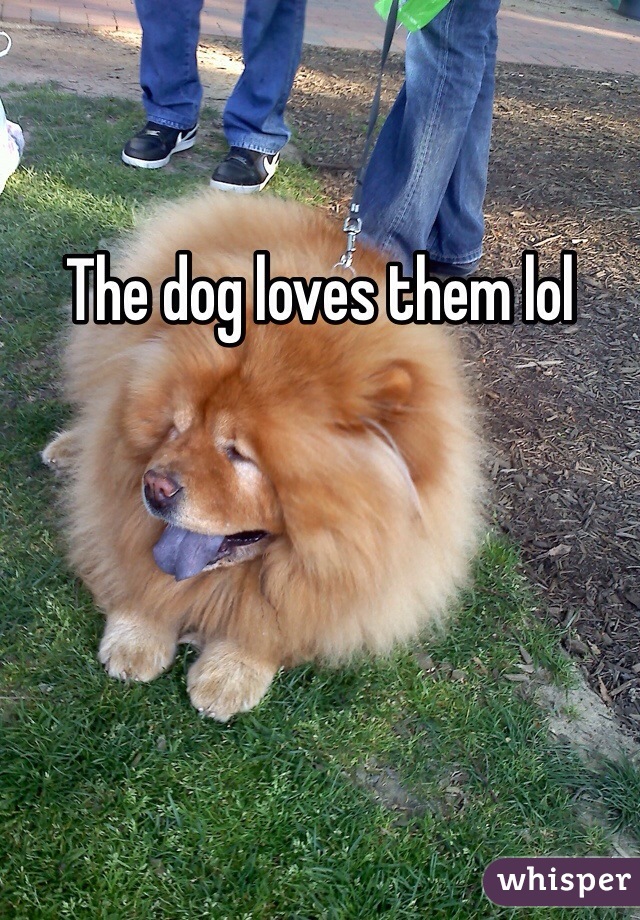 The dog loves them lol