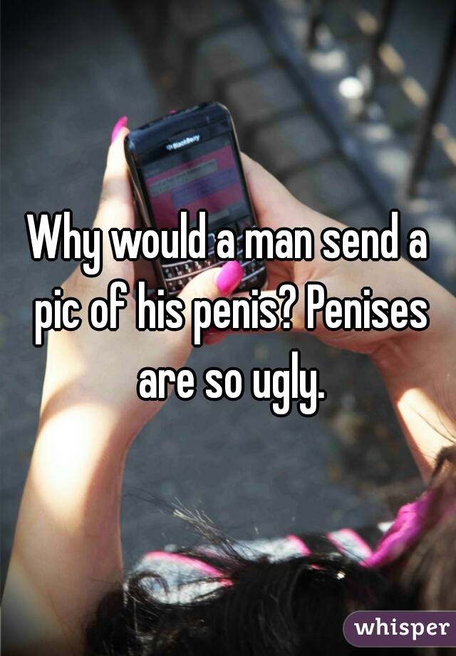 Why would a man send a pic of his penis? Penises are so ugly.