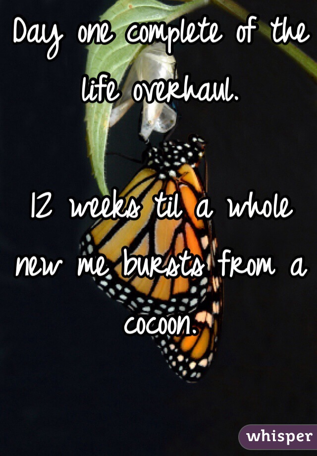 Day one complete of the life overhaul. 

12 weeks til a whole new me bursts from a cocoon.