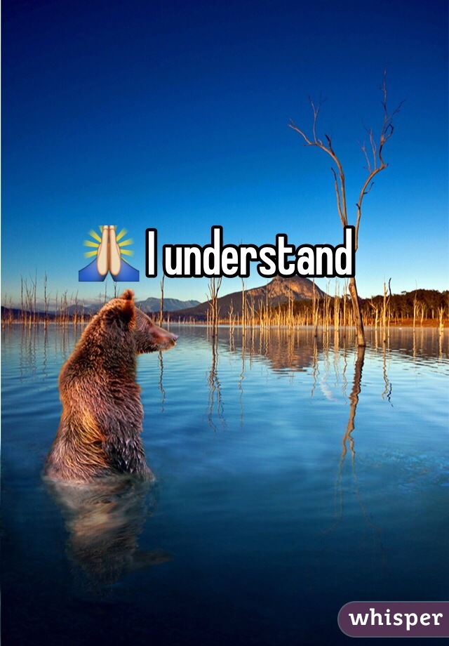 🙏 I understand 