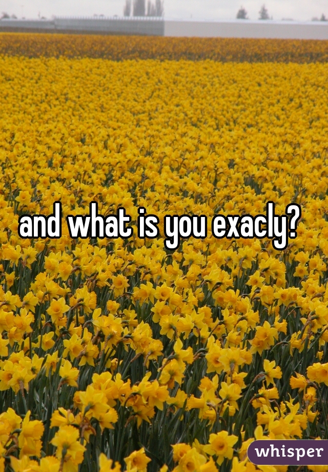 and what is you exacly? 