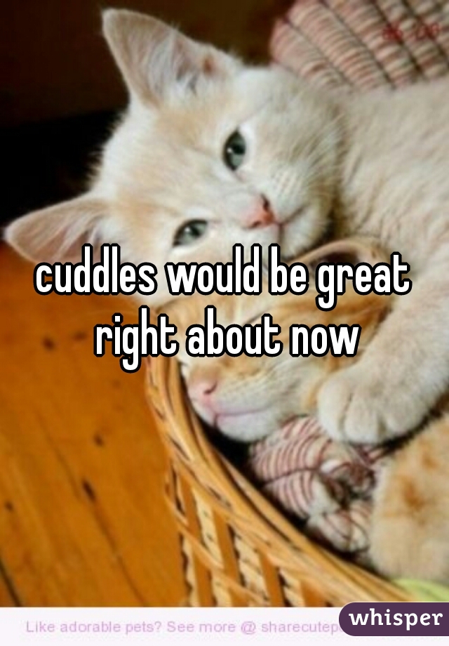 cuddles would be great right about now