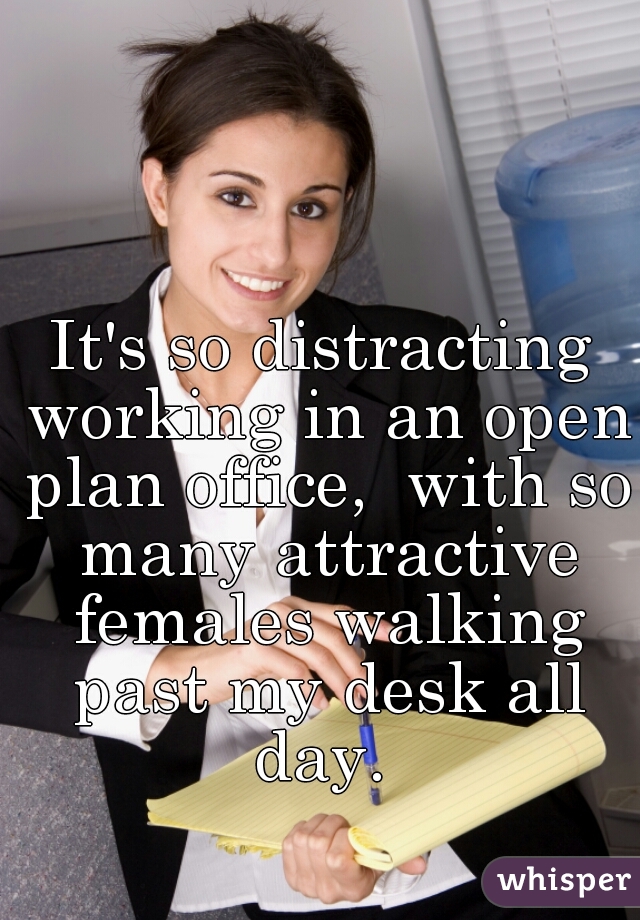 It's so distracting working in an open plan office,  with so many attractive females walking past my desk all day. 