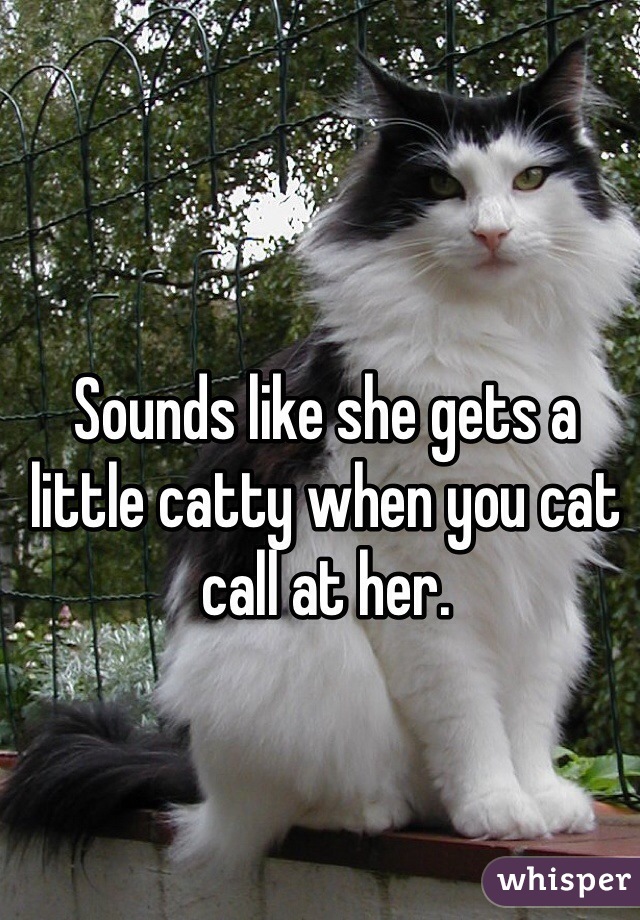 Sounds like she gets a little catty when you cat call at her.