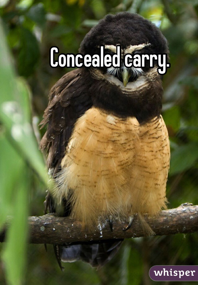 Concealed carry.