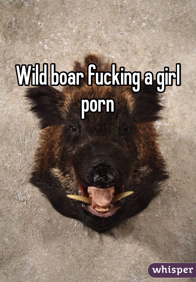 Wild boar fucking a girl porn