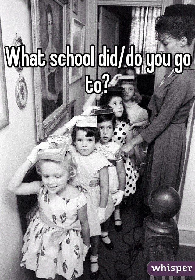 What school did/do you go to? 