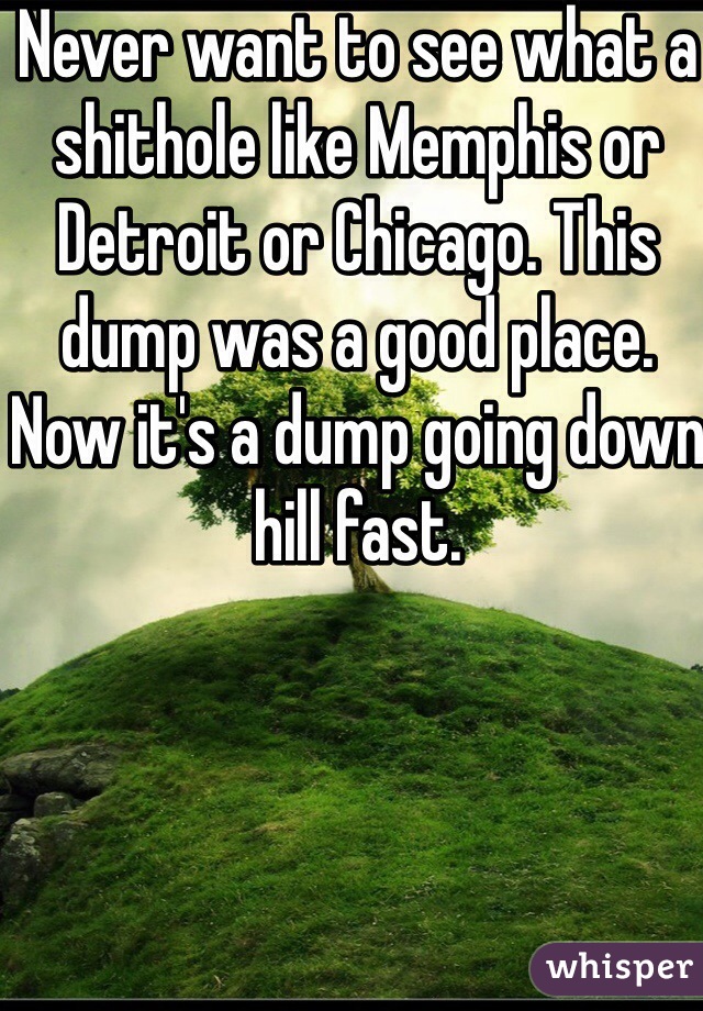 Never want to see what a shithole like Memphis or Detroit or Chicago. This dump was a good place. Now it's a dump going down hill fast. 