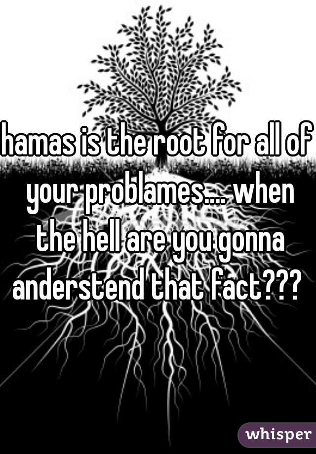 hamas is the root for all of your problames.... when the hell are you gonna anderstend that fact??? 
