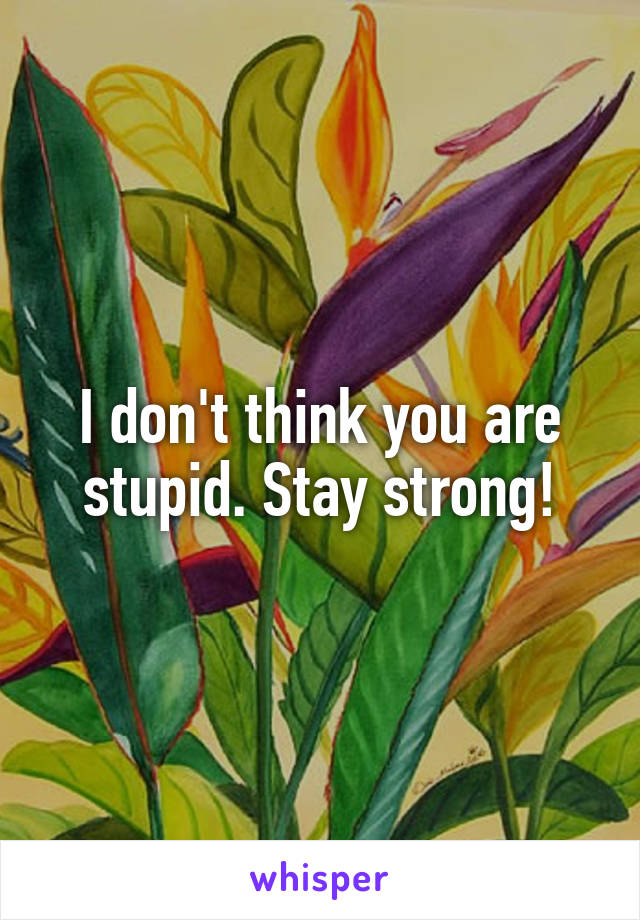 I don't think you are stupid. Stay strong!