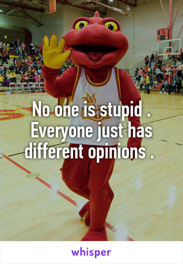No one is stupid . Everyone just has different opinions . 