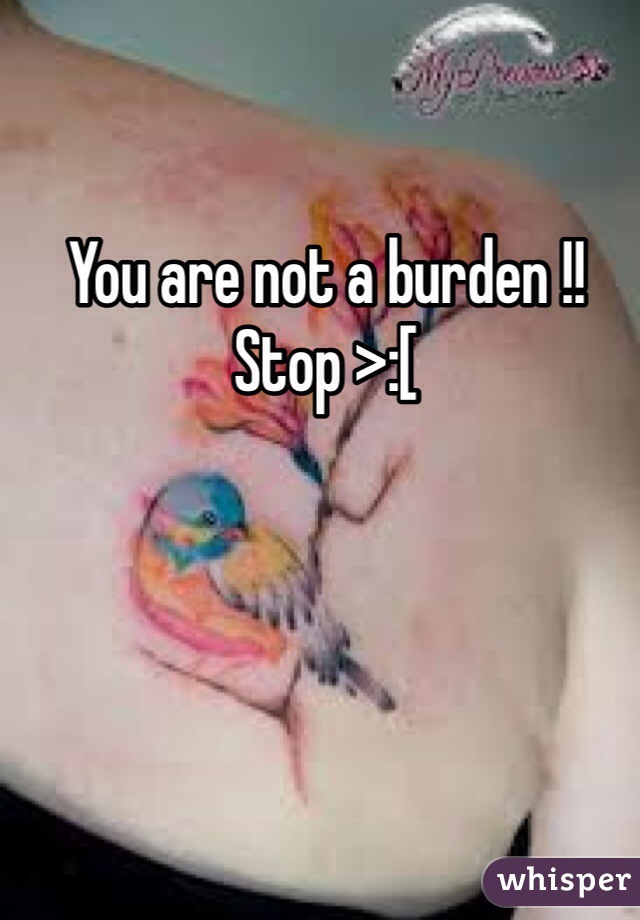 You are not a burden !! Stop >:[