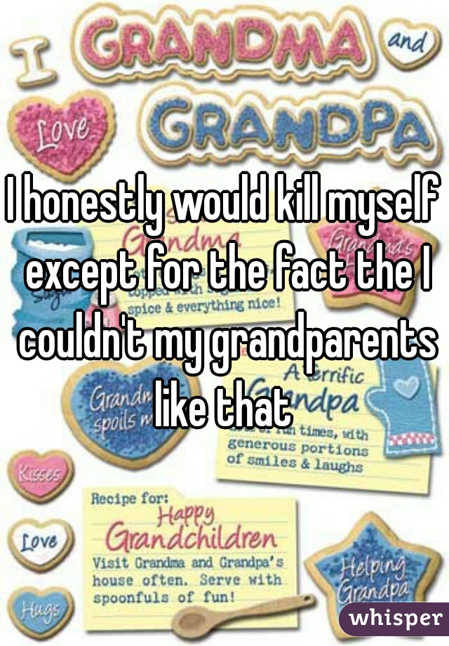 I honestly would kill myself except for the fact the I couldn't my grandparents like that 