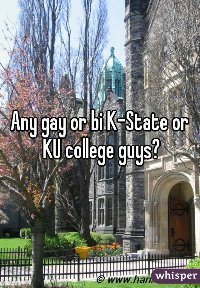 Any gay or bi K-State or KU college guys?