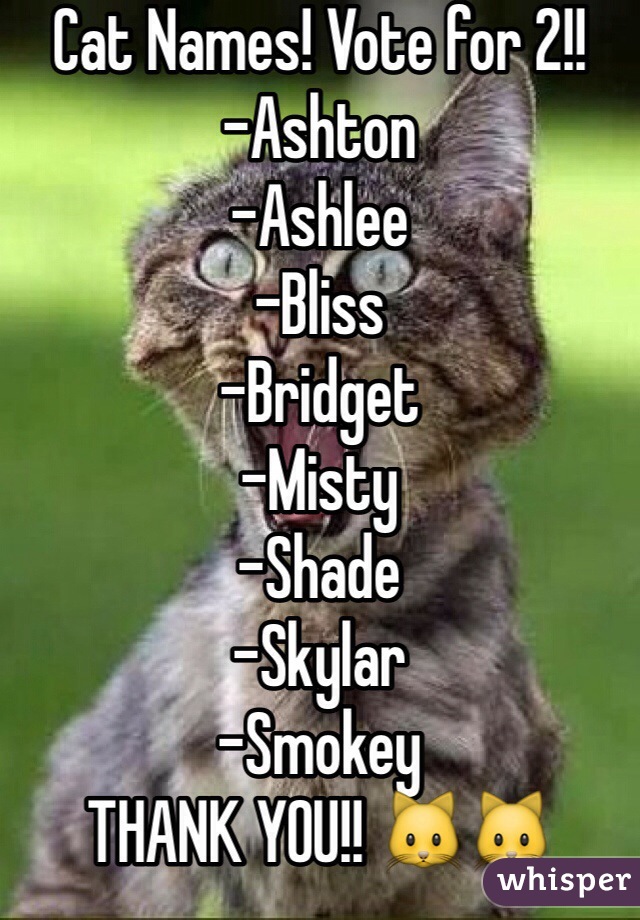 Cat Names! Vote for 2!! 
-Ashton
-Ashlee
-Bliss
-Bridget
-Misty
-Shade
-Skylar
-Smokey
THANK YOU!! 🐱🐱
