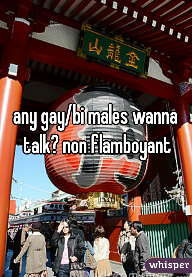 any gay/bi males wanna talk? non flamboyant