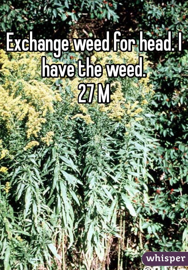 Exchange weed for head. I have the weed. 
27 M