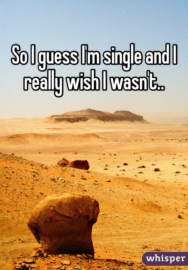 So I guess I'm single and I really wish I wasn't..