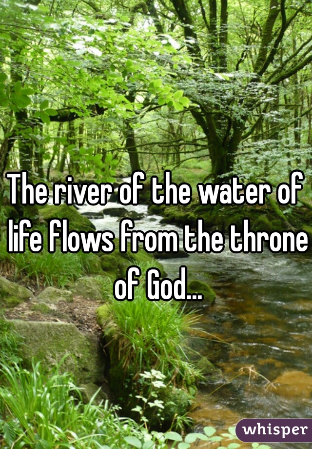 The river of the water of life flows from the throne of God...
