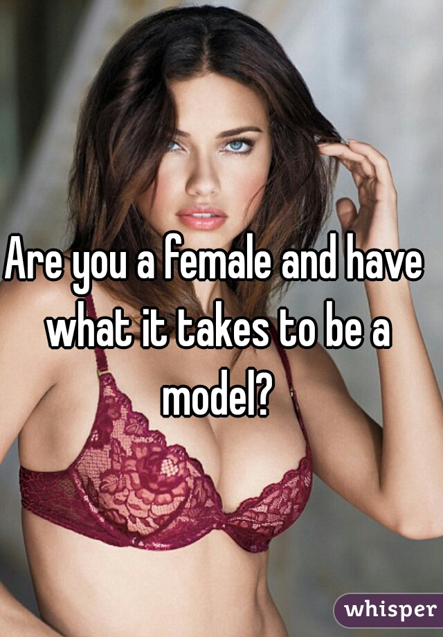 Are you a female and have what it takes to be a model?