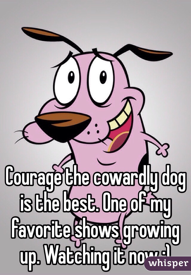 Courage the cowardly dog is the best. One of my favorite shows growing up. Watching it now :)