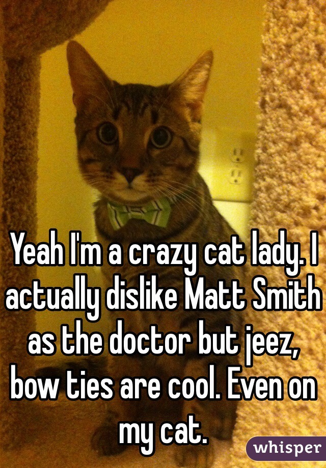Yeah I'm a crazy cat lady. I actually dislike Matt Smith as the doctor but jeez, bow ties are cool. Even on my cat. 