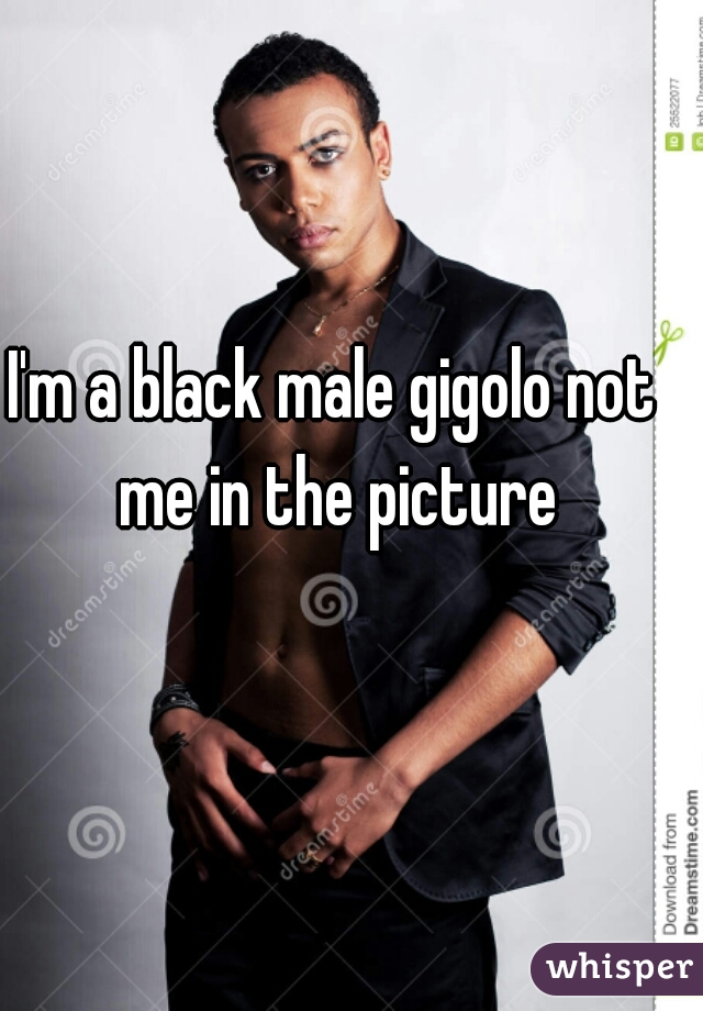 I'm a black male gigolo not me in the picture