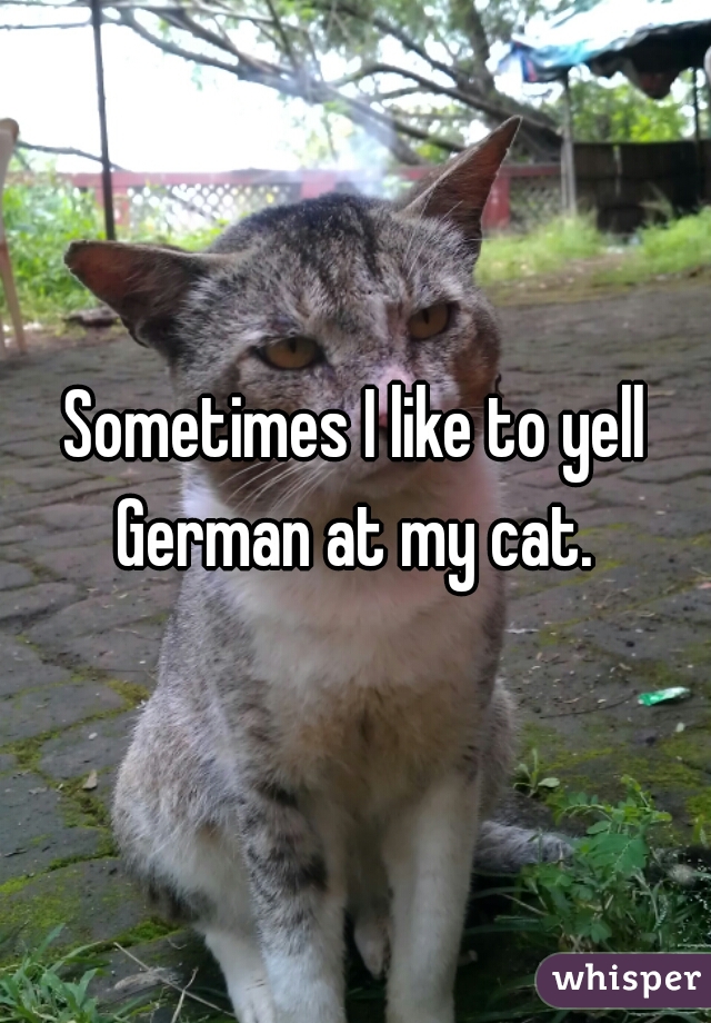 Sometimes I like to yell German at my cat. 