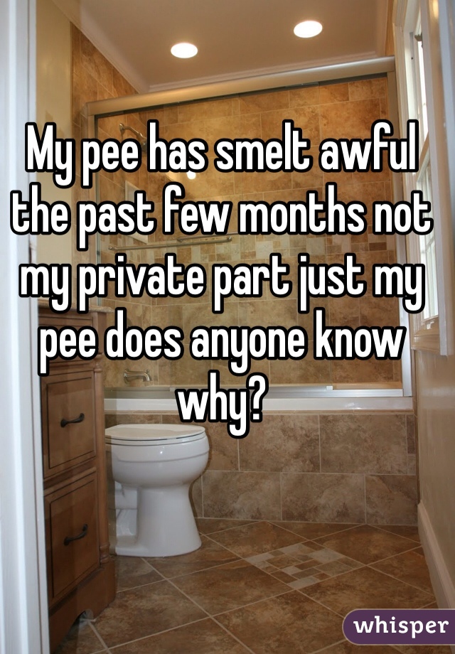 My pee has smelt awful the past few months not my private part just my pee does anyone know why?