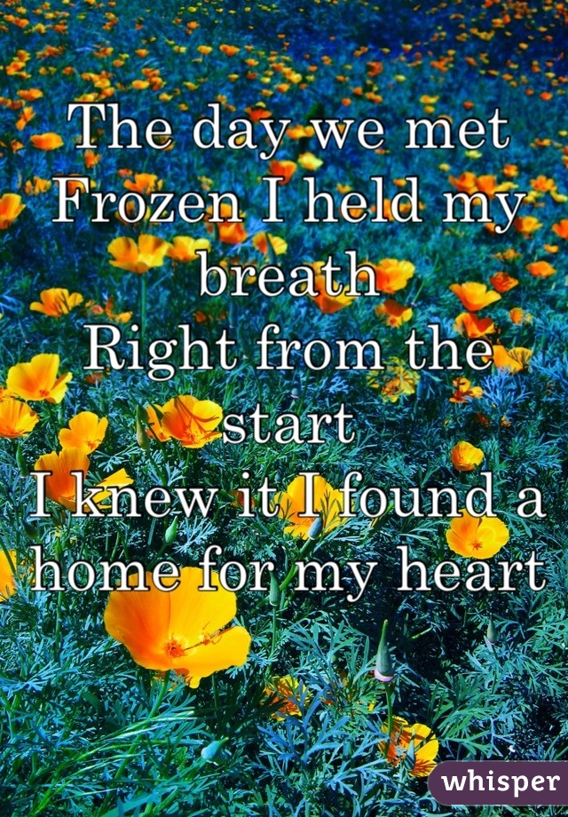 The day we met
Frozen I held my breath
Right from the start
I knew it I found a home for my heart