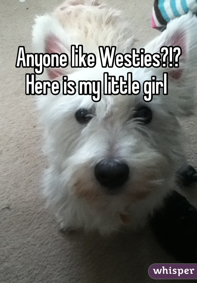Anyone like Westies?!? 
Here is my little girl 
