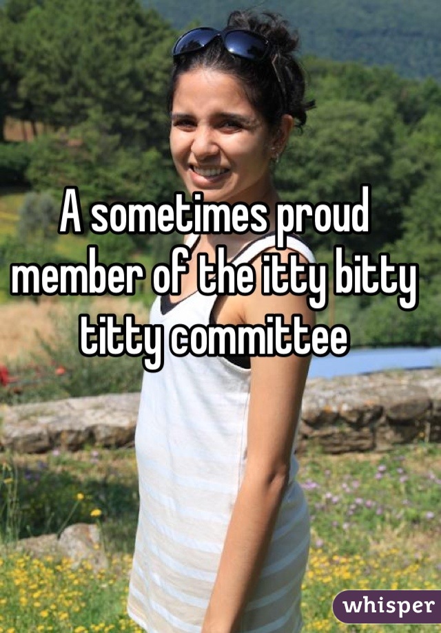 A sometimes proud member of the itty bitty titty committee