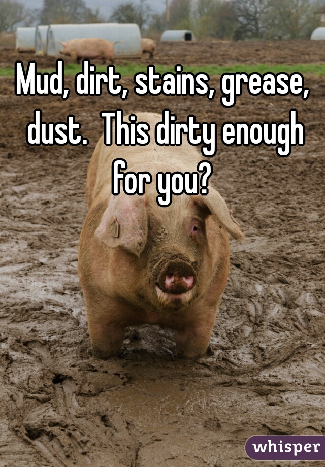 Mud, dirt, stains, grease, dust.  This dirty enough for you? 
