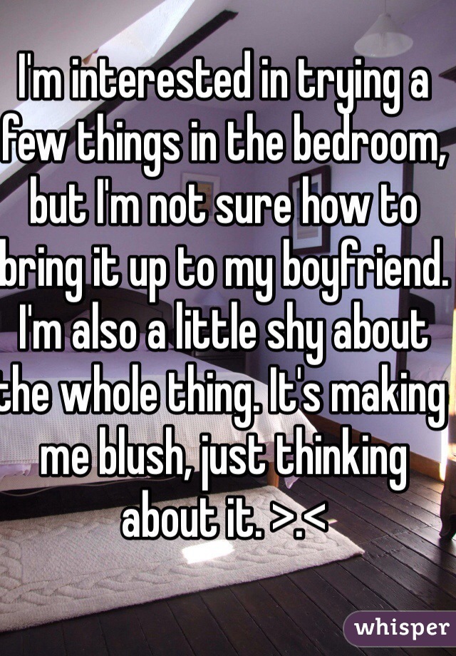 I'm interested in trying a few things in the bedroom, but I'm not sure how to bring it up to my boyfriend. I'm also a little shy about the whole thing. It's making me blush, just thinking about it. >.< 