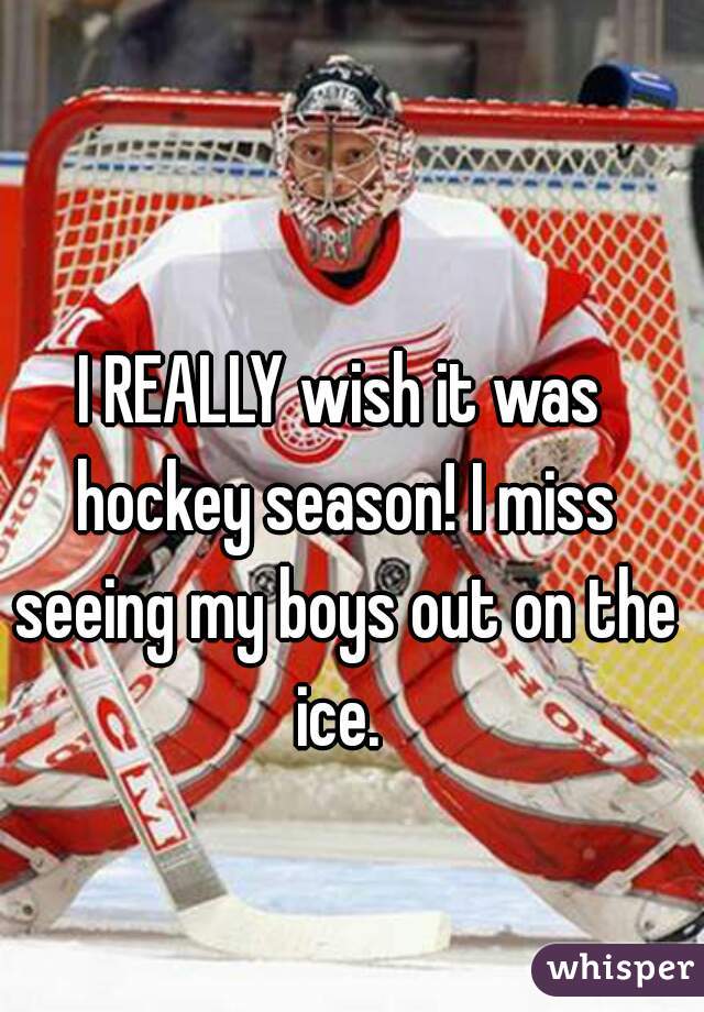 I REALLY wish it was hockey season! I miss seeing my boys out on the ice. 