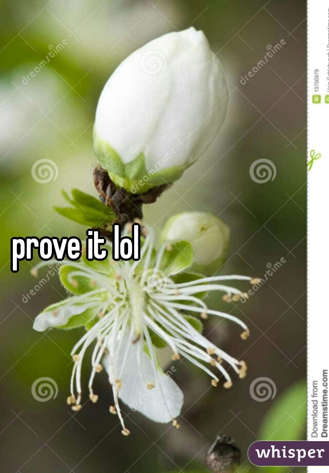 prove it lol 