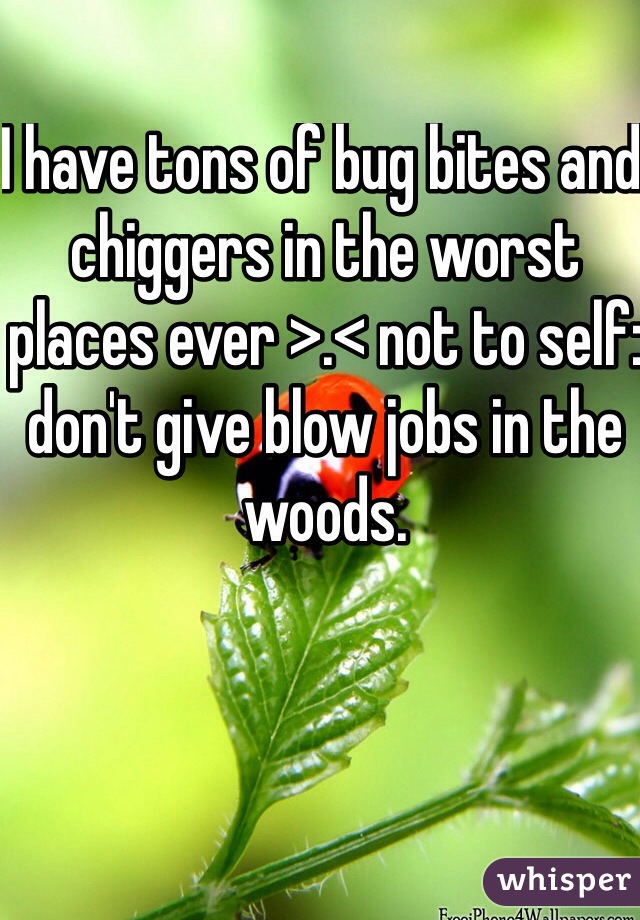 I have tons of bug bites and chiggers in the worst places ever >.< not to self: don't give blow jobs in the woods. 