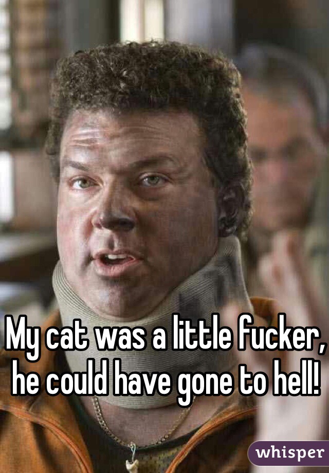 My cat was a little fucker, he could have gone to hell!