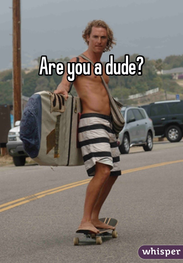 Are you a dude?
