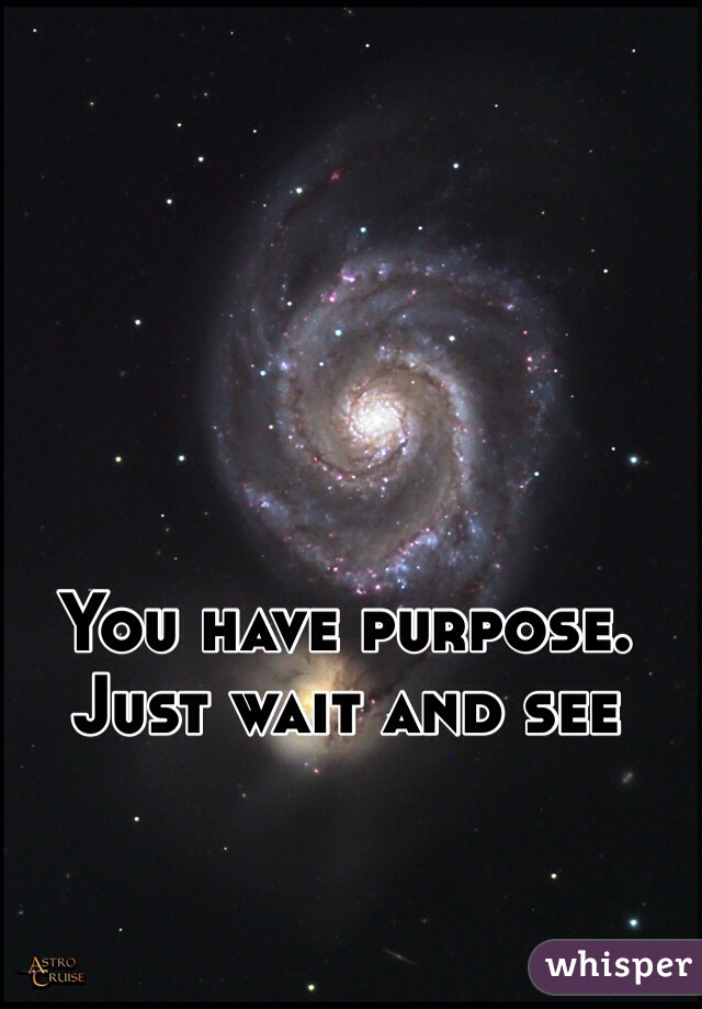 You have purpose. Just wait and see