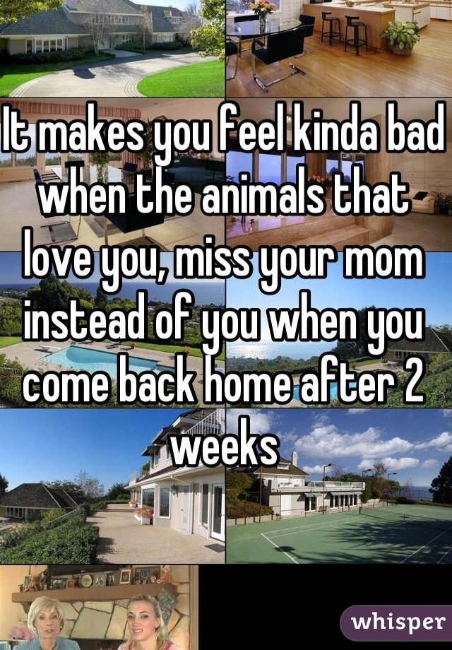 It makes you feel kinda bad when the animals that love you, miss your mom instead of you when you come back home after 2 weeks