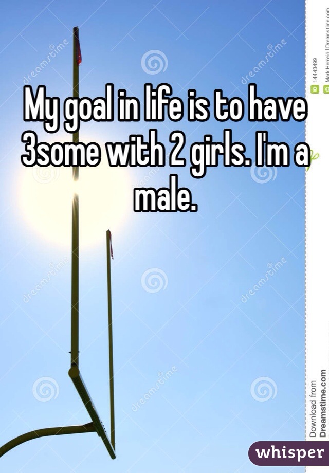 My goal in life is to have 3some with 2 girls. I'm a male. 