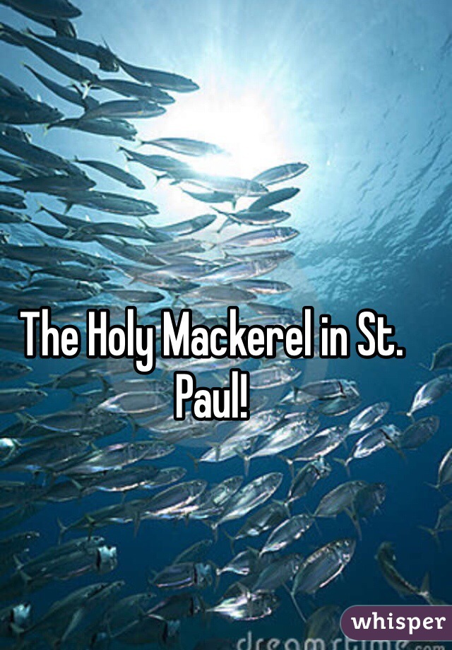 The Holy Mackerel in St. Paul! 