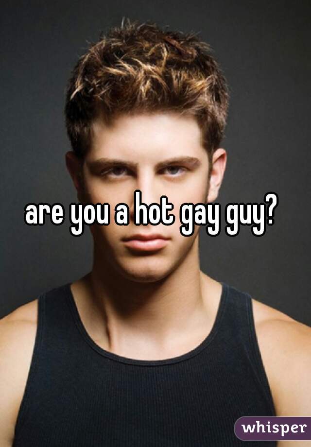 are you a hot gay guy? 