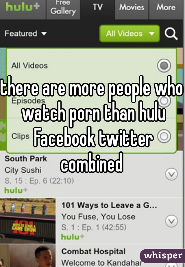 there are more people who watch porn than hulu Facebook twitter combined 