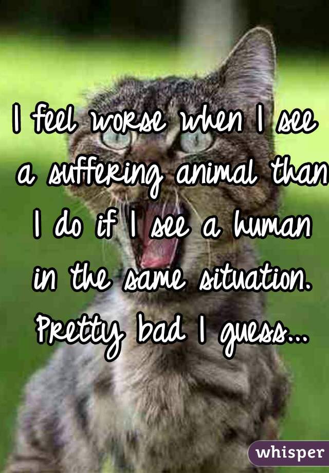 I feel worse when I see a suffering animal than I do if I see a human in the same situation. Pretty bad I guess...