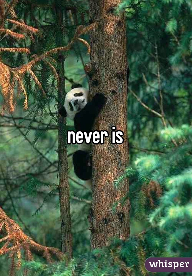 never is