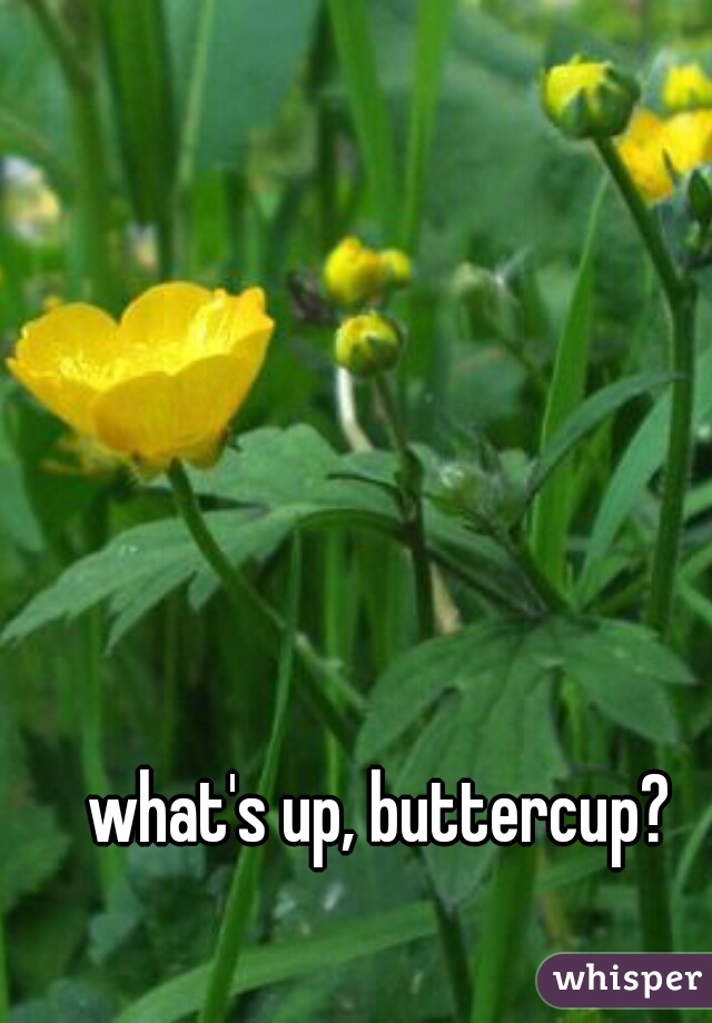 what's up, buttercup?