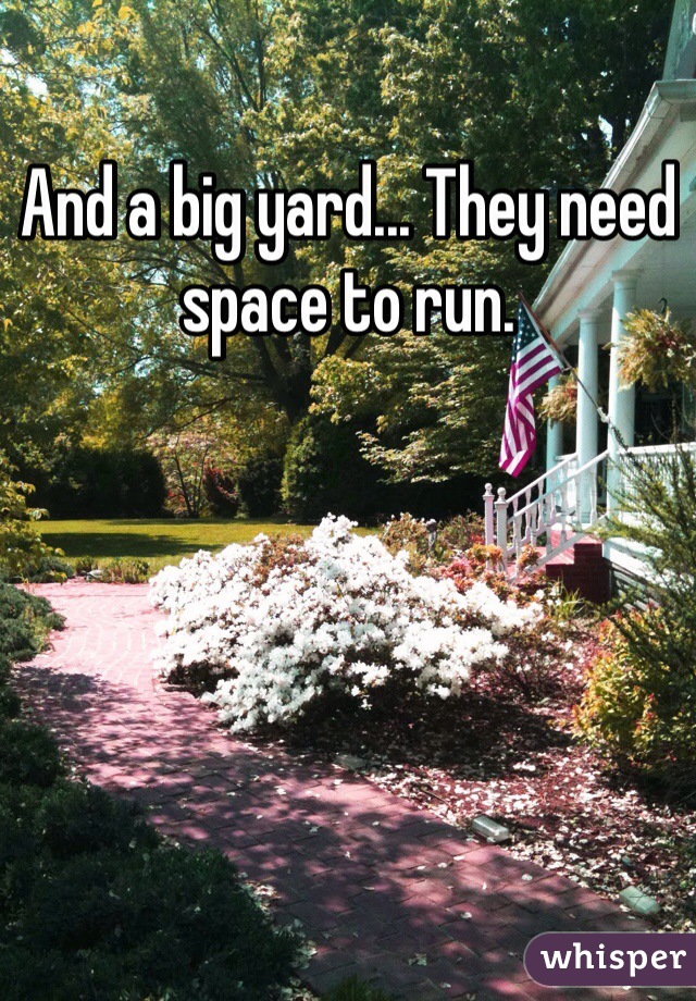 And a big yard... They need space to run. 